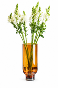 Vase with white flowers on a plain background 