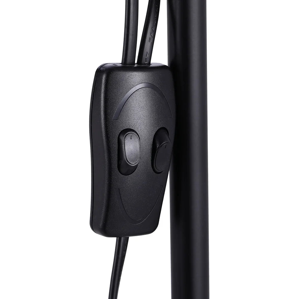 Black control panel with two buttons attached to a floor lamp on a white background